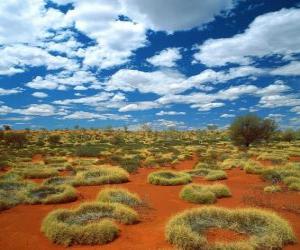 пазл Австралийский outback
